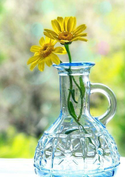 好听的句子唯美短句,好听的句子唯美短句学生