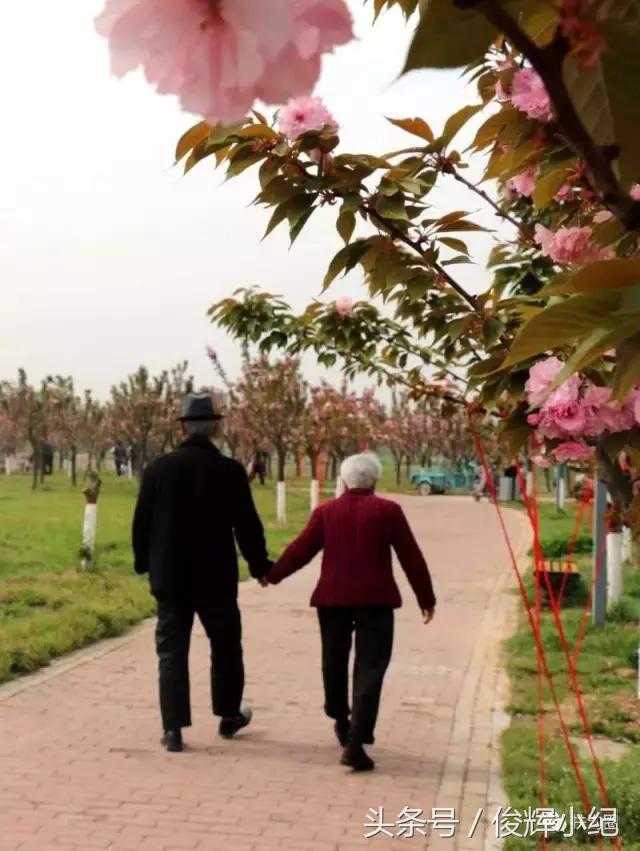 什么叫太康,什么叫扶沟