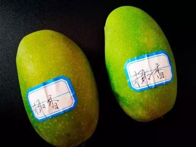 蔷薇水果店~“品控达人”的福音！