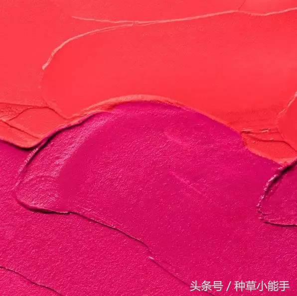 唇釉五原色,唇釉kiko32