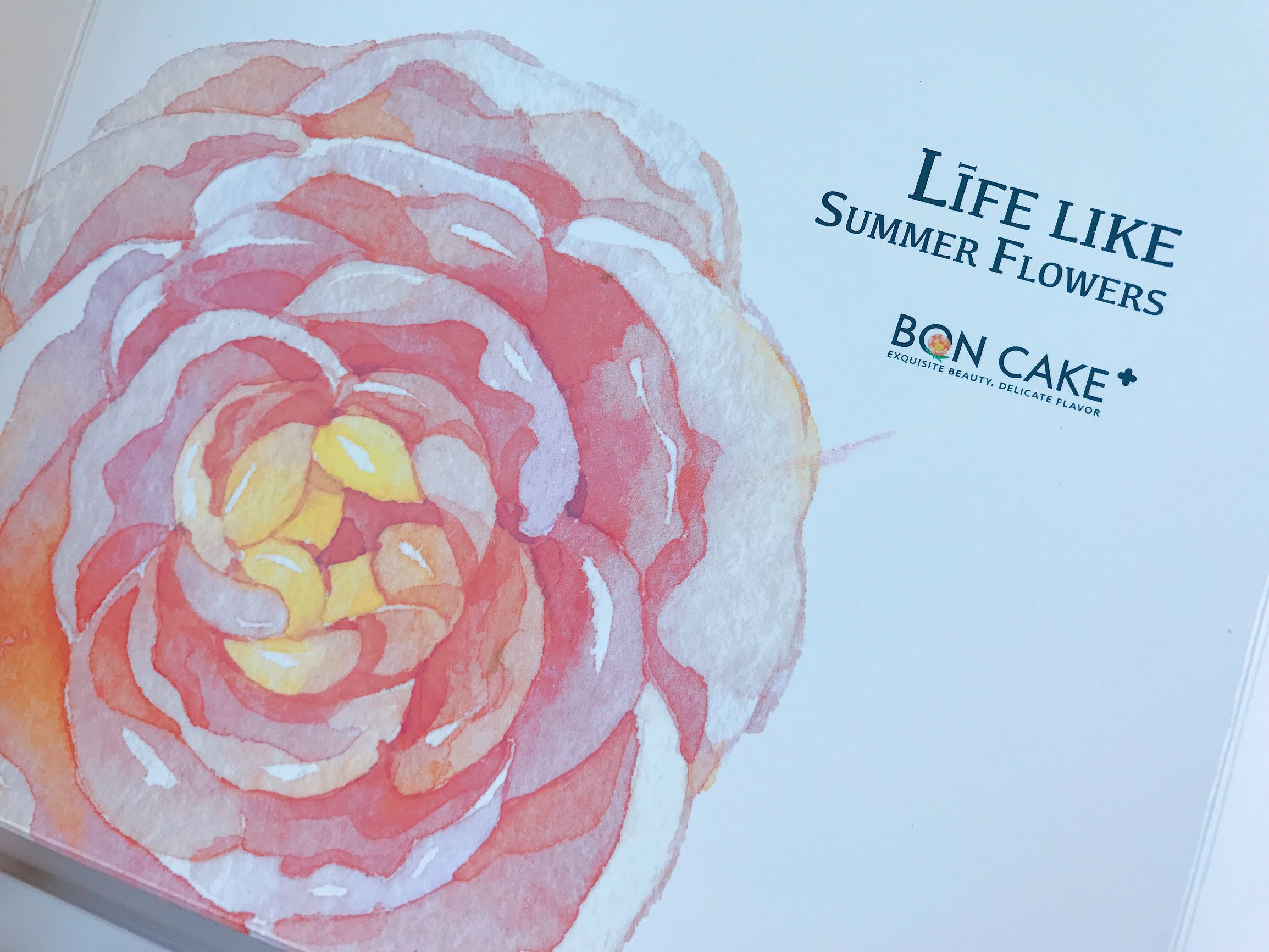 北京明星网红蛋糕,网红蛋糕哈尔滨哈西