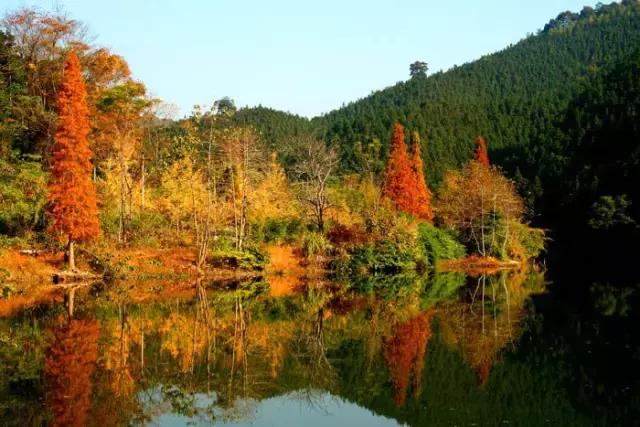 韶关，一个我们舍不得说再见的地方，韶关人顶起！