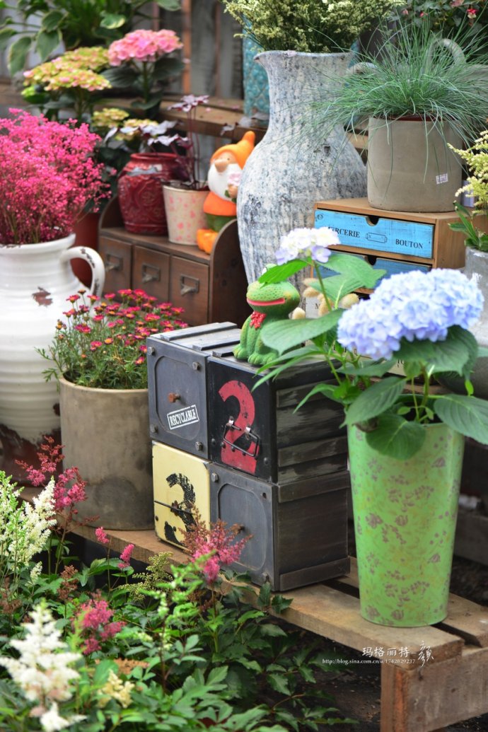 花园拜访,成都玛莉亚色彩花园电话