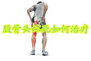 木豆二仙汤治疗股骨头坏死,张仲景治疗股骨头坏死配方