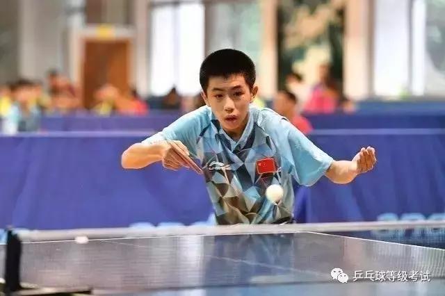 江门24名国球小将勇获乒乓球等级赛江门赛区“共信赢杯”奖项