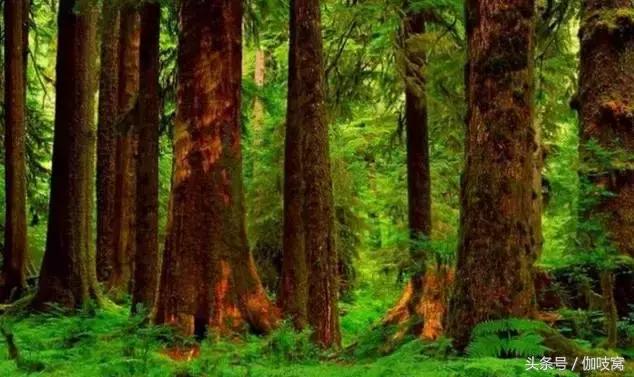 从a到z你选什么,从a到z的蜕变