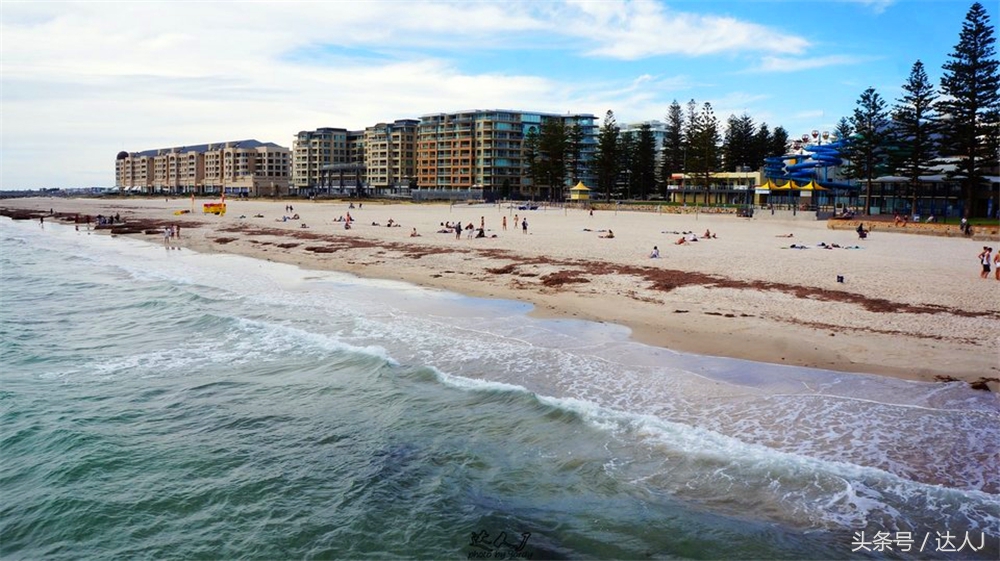 澳洲阿德莱德vs悉尼fc,阿德莱德对澳洲悉尼