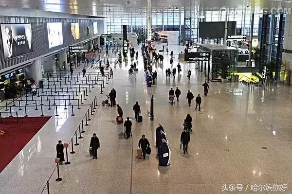 哈尔滨尚志要开挂了！如果三年后你还在尚志，将面对的竟是这些