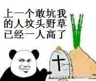 有什么便宜的宠物羊奶粉,宠物便宜的羊奶粉是真正的羊奶吗