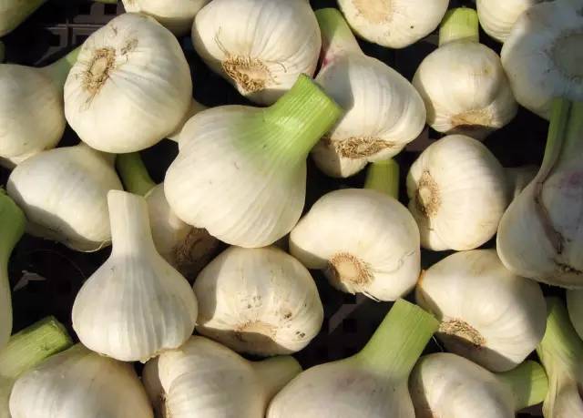 重庆小面的做法教程新手零基础学,你知道重庆小面有多少种调料