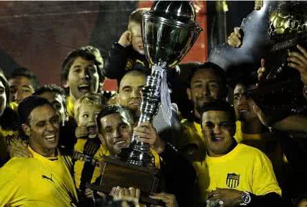 南美洲俱乐部足球队最高荣誉,南美十大顶级足球俱乐部