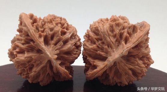 龙鳞纹狮子头和龙鳞纹官帽区别,金刚纹官帽狮子头