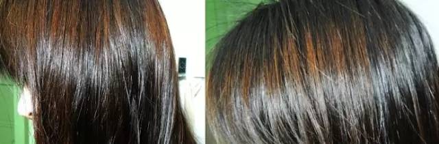 网传神奇生物,网传神奇测试图