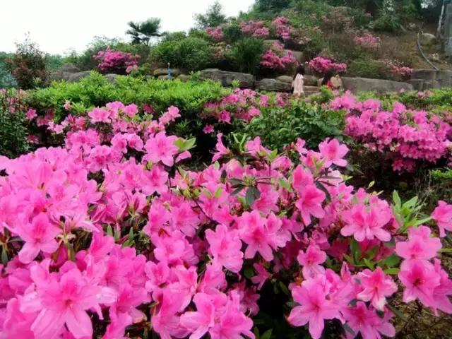 韶关，一个我们舍不得说再见的地方，韶关人顶起！