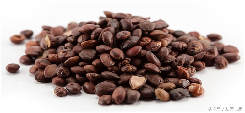 爱酒之人总是自己泡药酒，但药酒的功效您真不一定知道