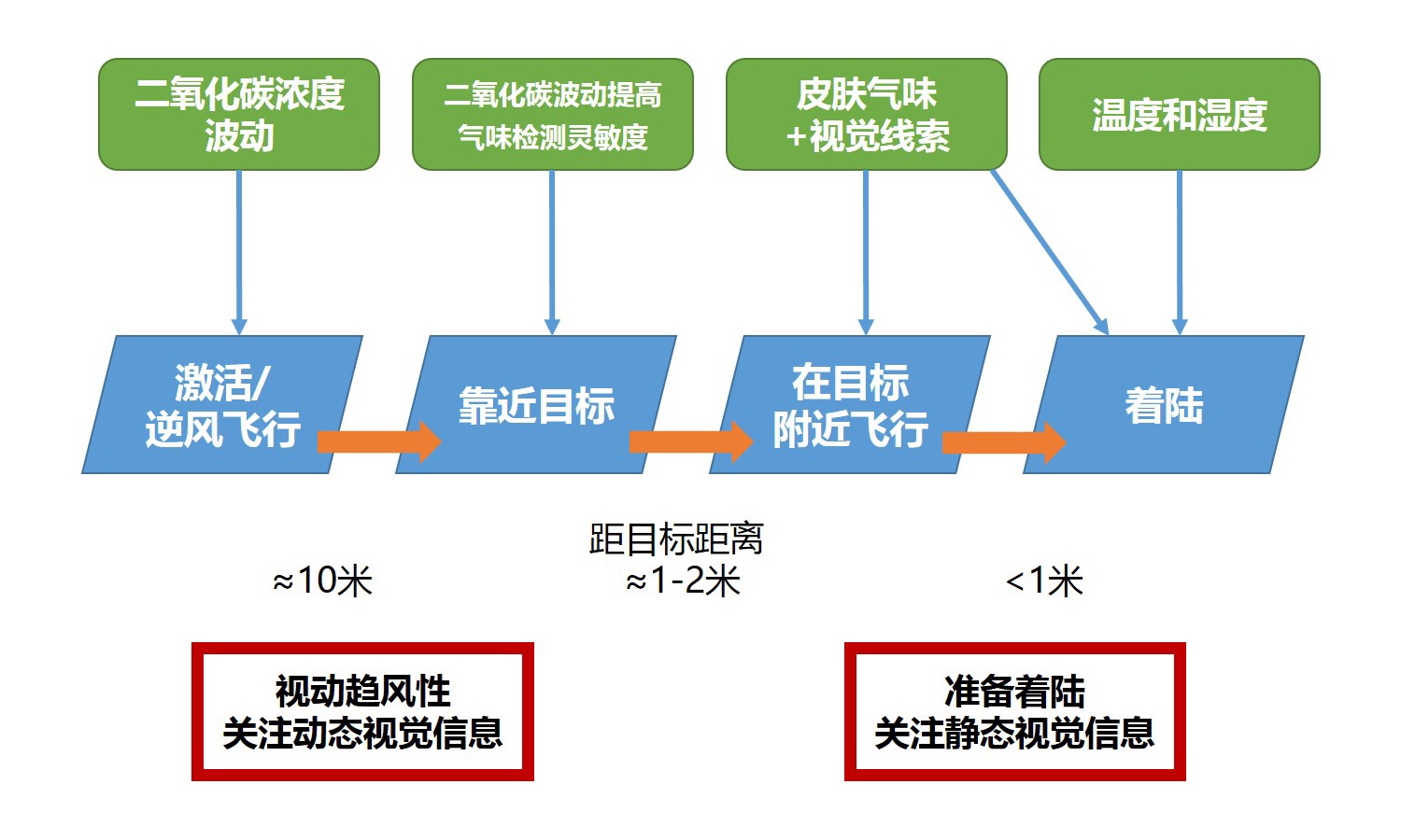 雌性追你的战略战术（蚊子篇）