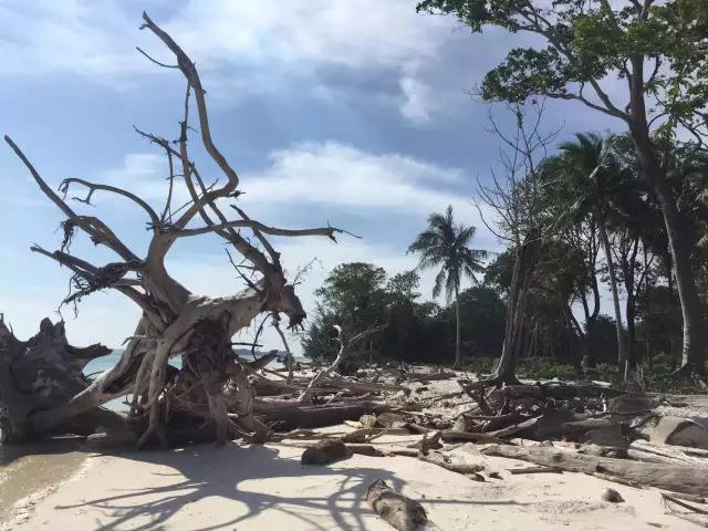 3000元海岛游,3000元买个岛