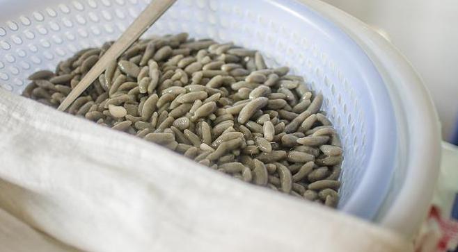 吐血编辑，三亚所有吃的都在这儿了，不吃也来瞧一瞧啦。