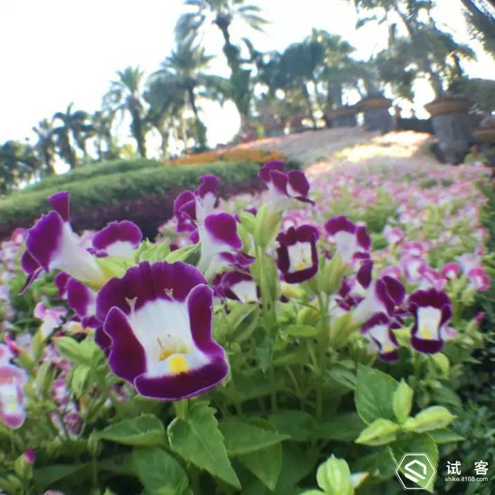 试用报告不错过每一个风景——带着SonyZ5去旅行