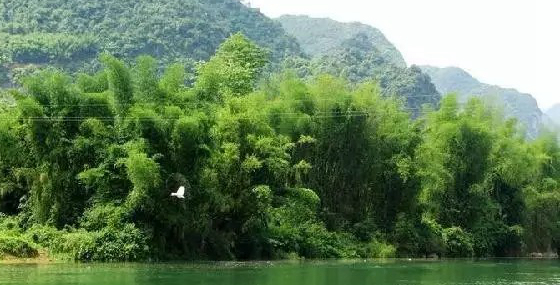 居然有人给芒果这种生物开世界大会,逼格升级,田东又要火上天啊!