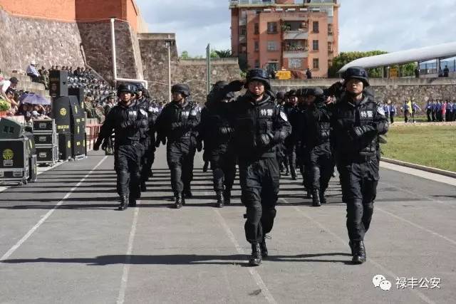 禄丰的父老乡亲们，我们需要您的客观评价！