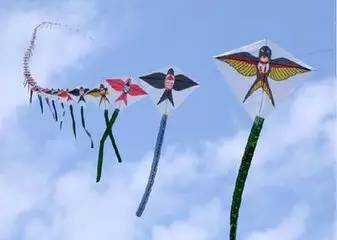 窦桂梅演讲全集,窦桂梅老师演讲全部视频