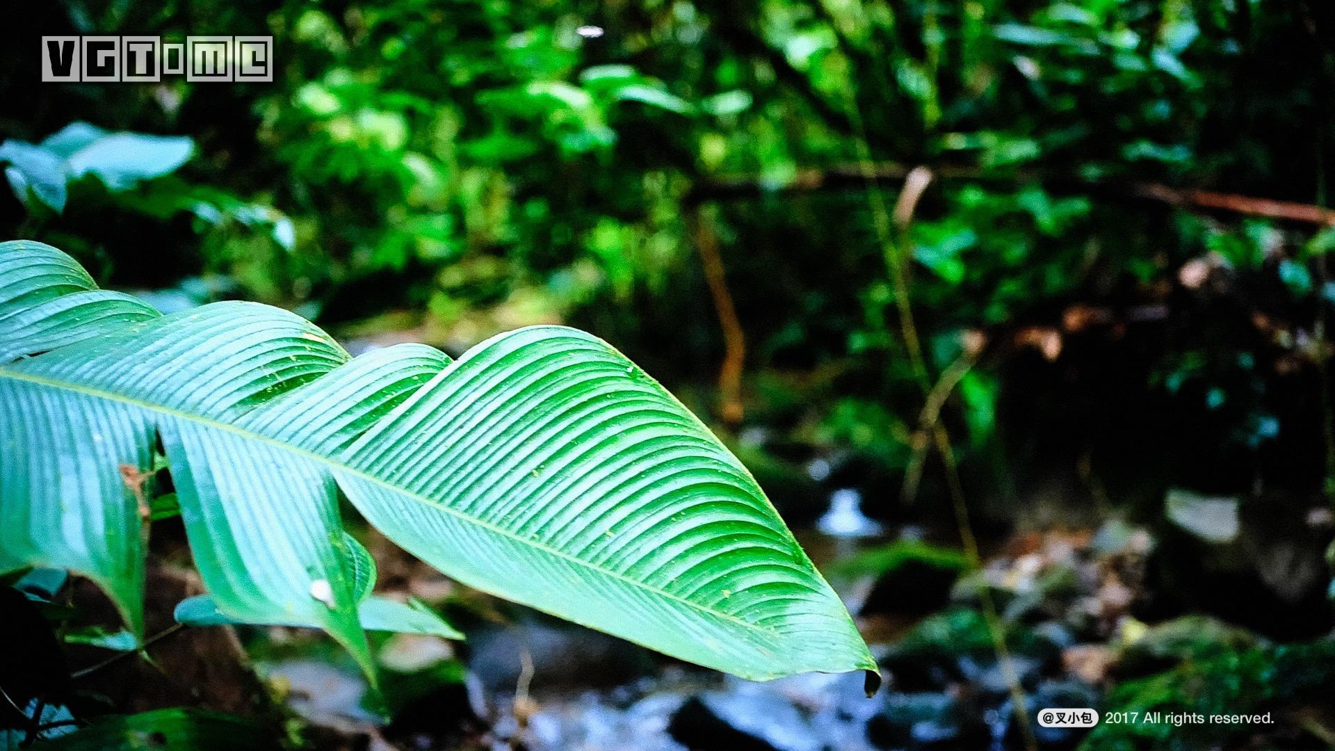 索尼新品4k超高清电视,索尼65x9000e电视机深度测评