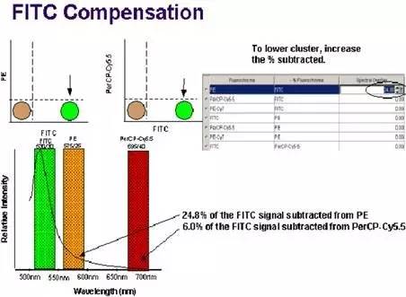 你这磨人的小妖精视频,你这磨人的小妖精下一句是什么呢
