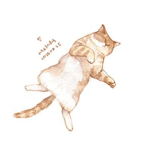 寻找隐藏在旅游胜地的文化绿洲丨香港书店地图