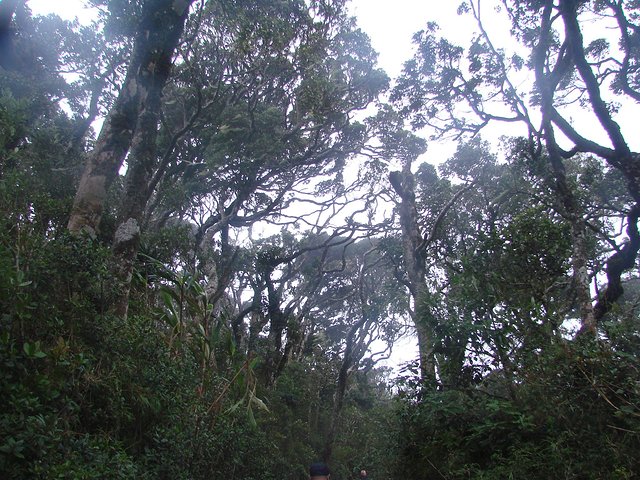 在斯里兰卡旅游必做的10件事,在斯里兰卡的难忘旅行经历