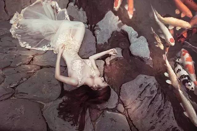 怎么判断锦鲤消化完了,怎么判断锦鲤胖还是吃撑了