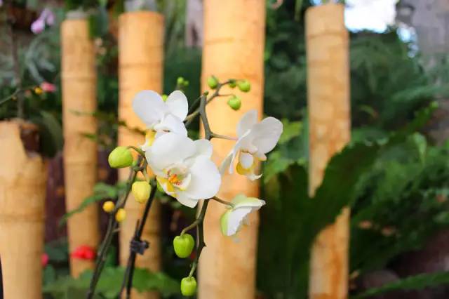 舌尖上的节气惊蛰养生,二十四节气惊蛰美食