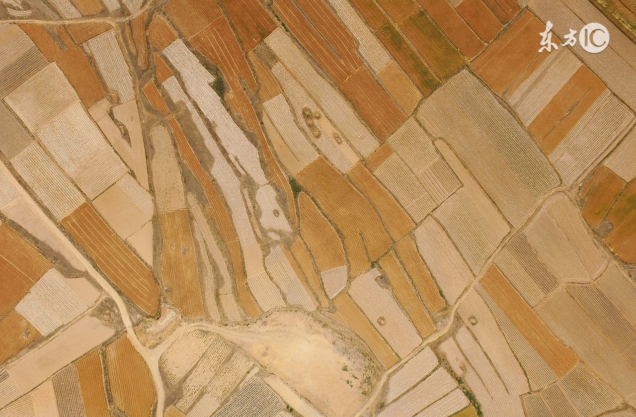 地板胶铺贴最普通一平方多少钱,地板胶一般铺多厚的