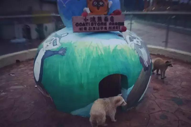 海有夜游别怪我没提醒你，购买夜票你能看到不一样的精彩！