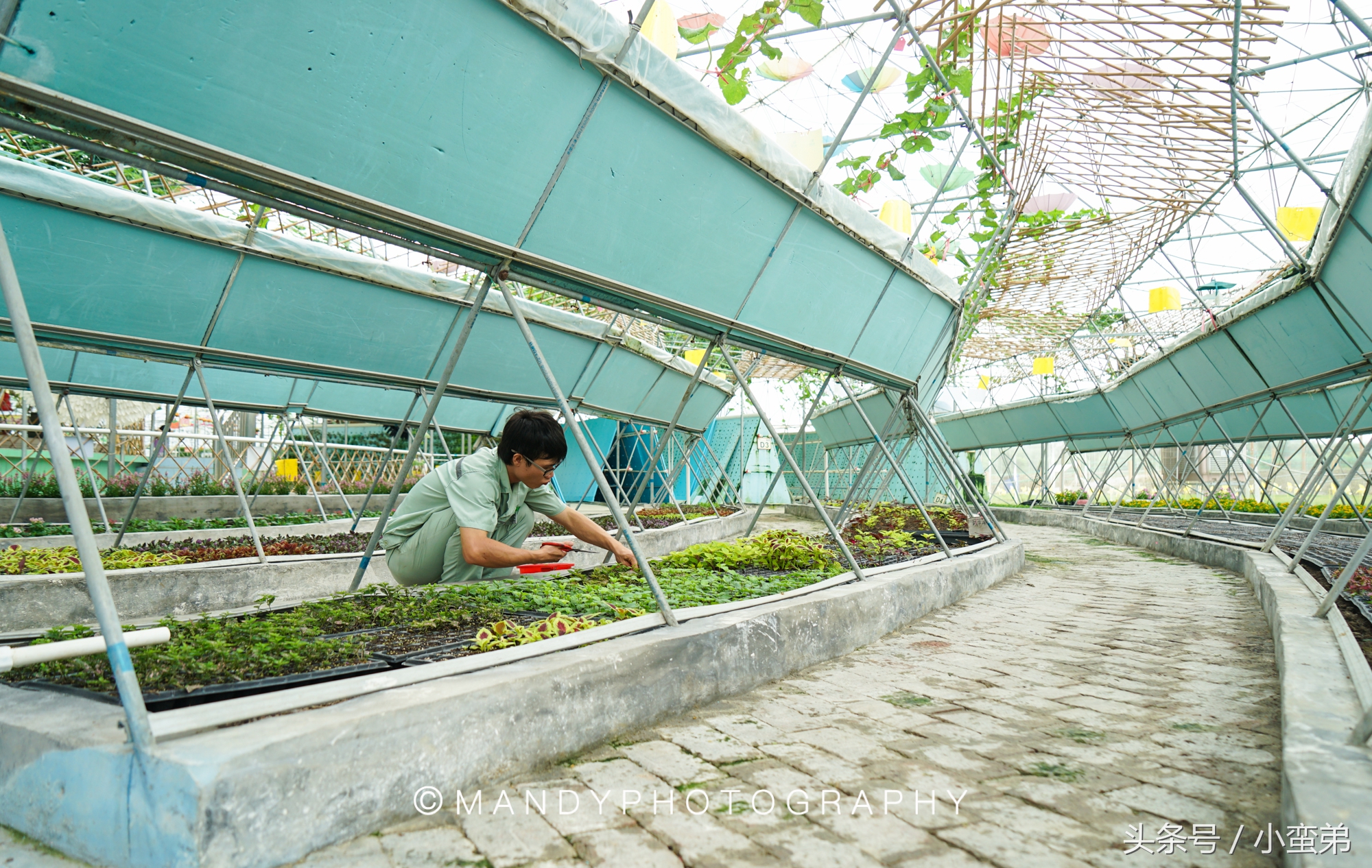 广州周边不为人知的宝藏景点,广州水上乐园旅游景点推荐