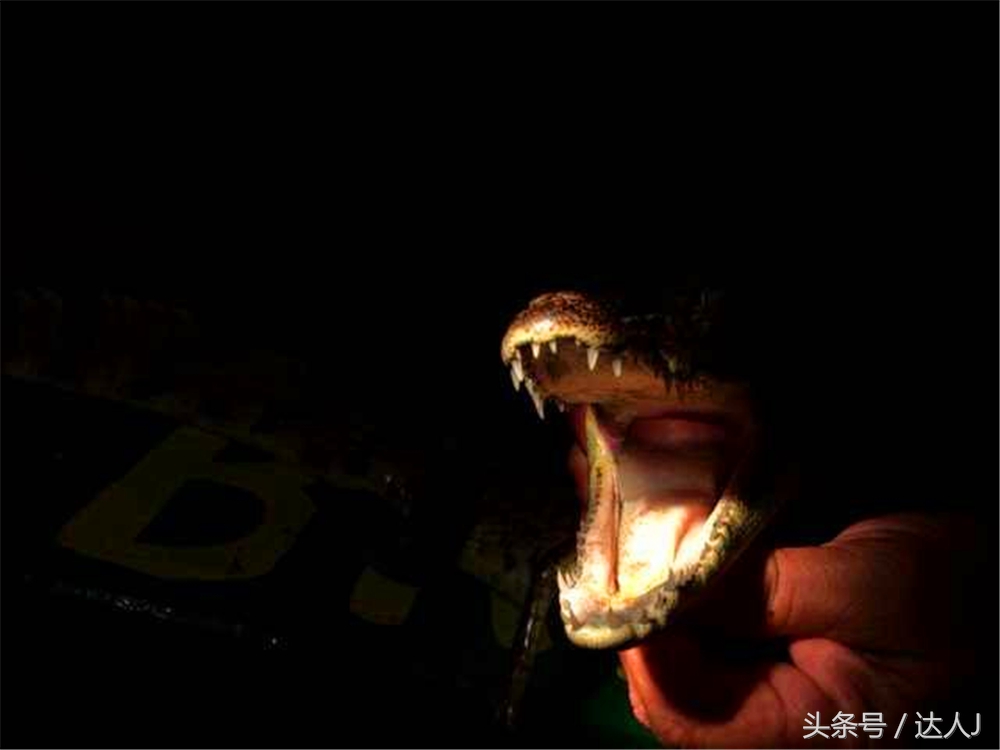 从亚马逊雨林到安纳托,最靠近亚马逊丛林的城市