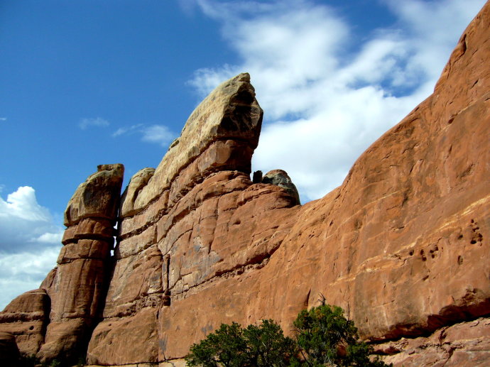 美西大峡谷简介,美国红杉国家公园一日游