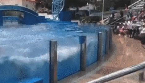 美西景点,美西游玩