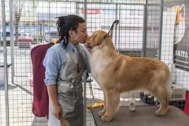 狗生如梦｜ONE实验室