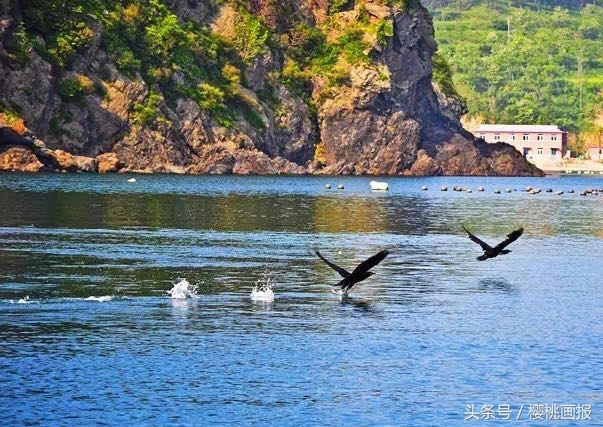 夏天大连去哪个海边可以玩水,大连玩水旅游攻略