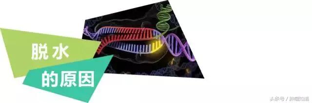 肿瘤引起水肿怎么消除,肿瘤脱水