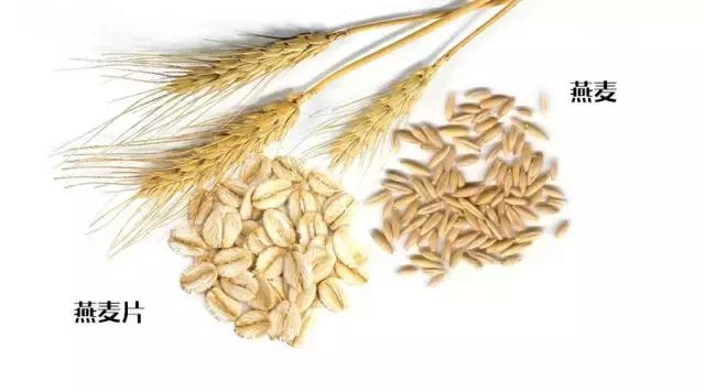 燕麦推荐真实测评,燕麦测评视频