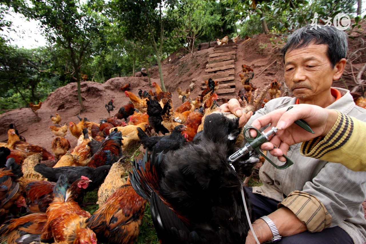 最新热门致富项目大全,致富经创业项目哪些比较真实