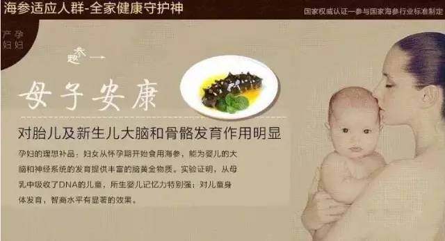 澳洲海参之秃参食补功效及注意事项