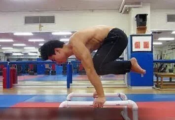 单腿鹤禅式视频教学,鹤禅式标准体式练习