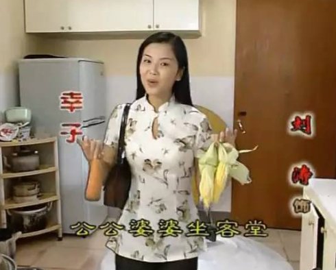 刘涛早期影视作品混剪,刘涛所有作品大全