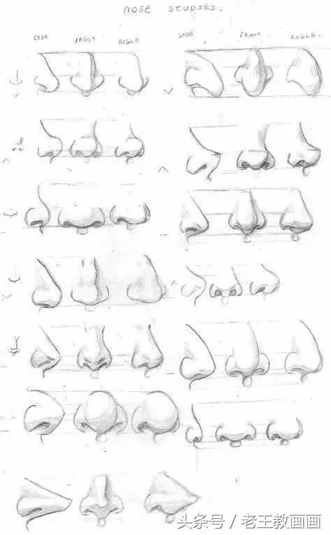 教100个零基础画画小白,零基础自学绘画入门书