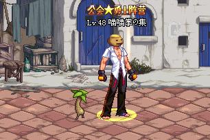 推荐五个DNF中用金币就可以购买的宠物，给那些还没有宠物的勇士