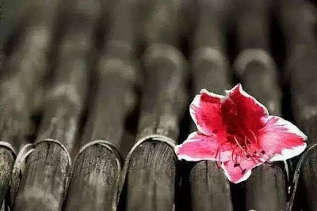 欧元来历,欧元基础知识讲解