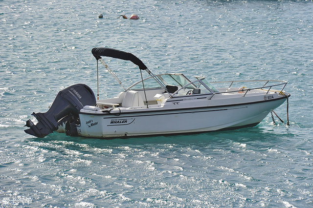 海陆皆猛虎路虎百慕大美洲帆船赛之旅